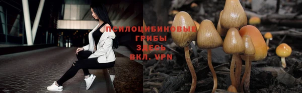 мяу мяу кристалл Балахна